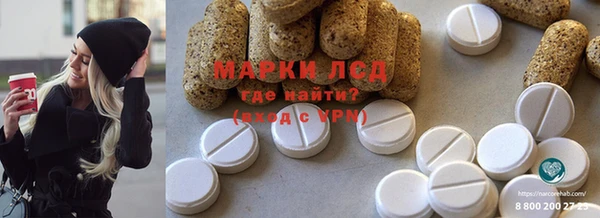 прущие грибы Михайловск