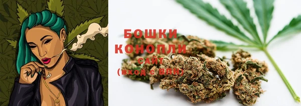 прущие грибы Михайловск