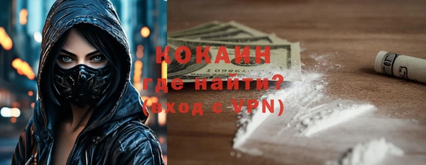 прущие грибы Михайловск