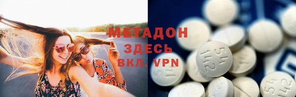 прущие грибы Михайловск
