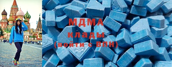 прущие грибы Михайловск