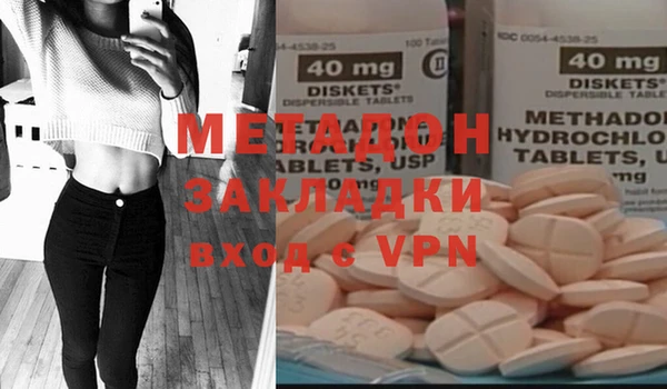 прущие грибы Михайловск