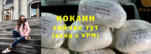 прущие грибы Михайловск