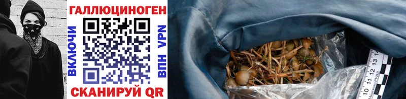 Галлюциногенные грибы прущие грибы  Купить  Пикалёво 